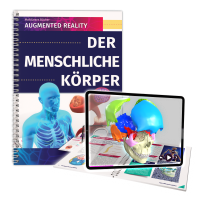 Der menschliche Körper